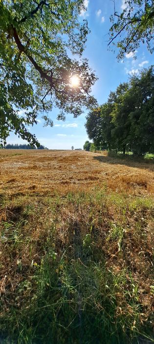 Działka rolno-budowlana