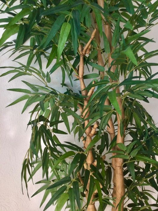 Planta artificial BAMBU