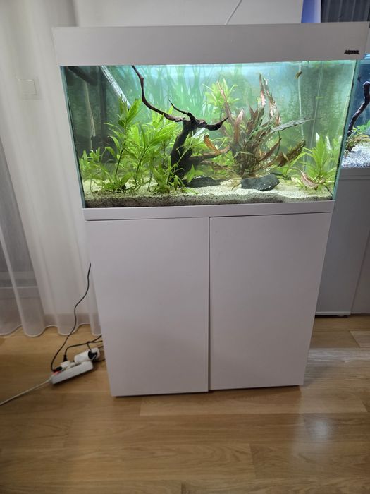 Akwarium aquael optiset 125