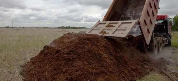 гній .перегній . земля.