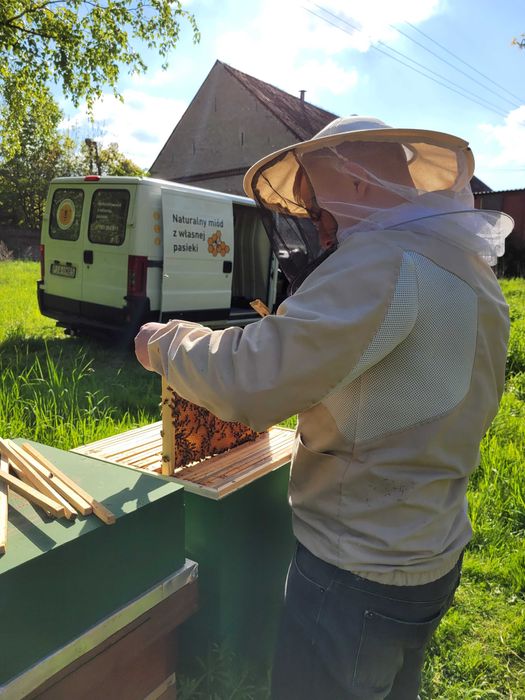 Naturalny miód z maliną 400g – polski miód prosto z pasieki z maliną.