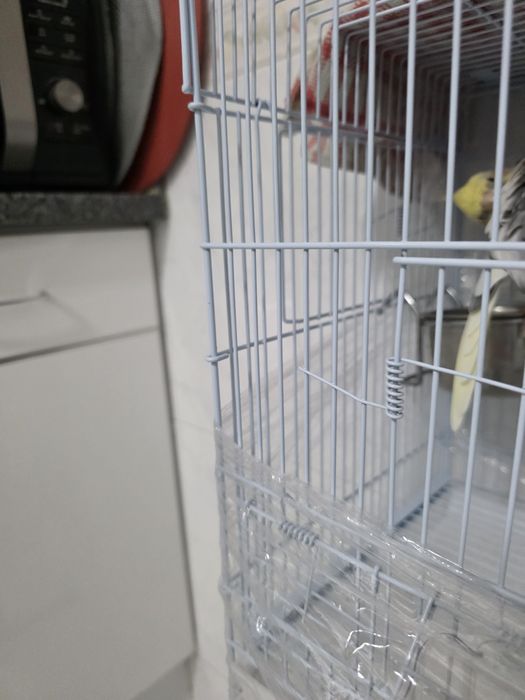 Várias gaiolas usadas e 1 nova em bom estado