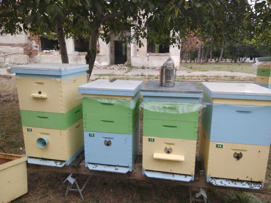 Продам вулики 10 рамок дадан