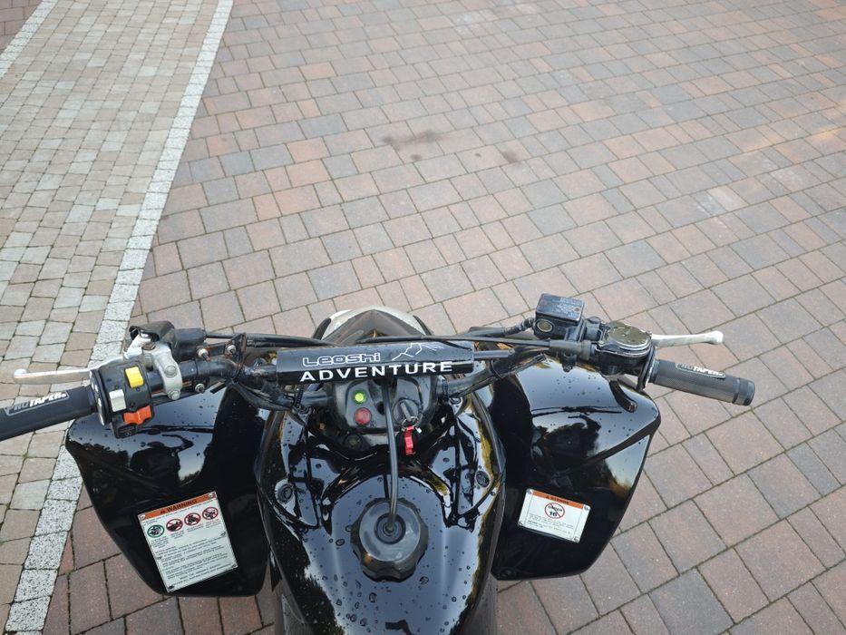 Honda Sportrax TRX 250 ex