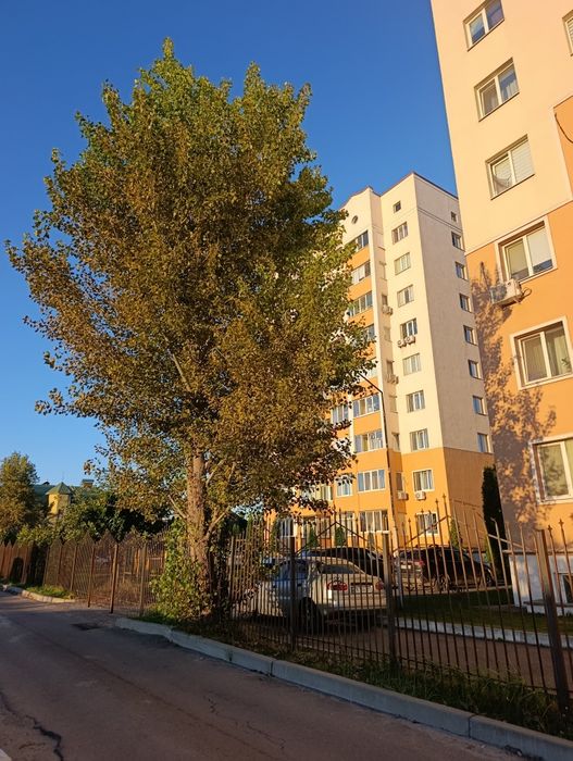 Однокімнатна квартира з ремонтом, ДЕРЖПРОГРАМИ