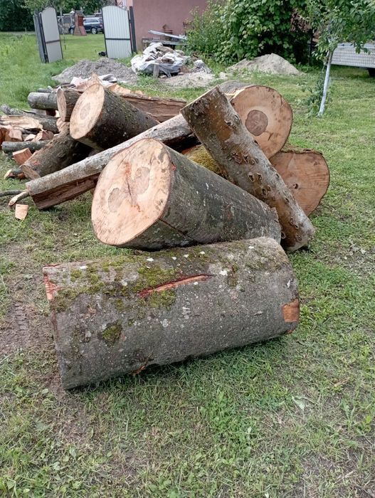 Дрова твердих порід Граб Бук Дуб