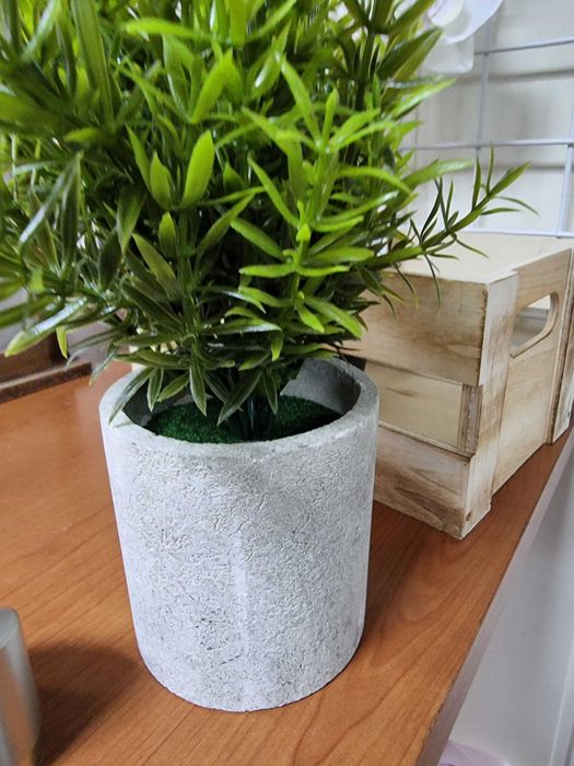 Sztuczne kwiaty Asparagus Kwiat zielony w gipsowej doniczce donicy