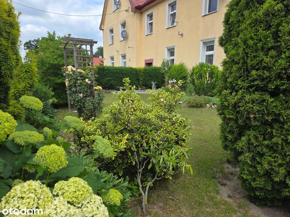 niczym DOM _ działka 5 arów _ "bez barier" - Widok 3
