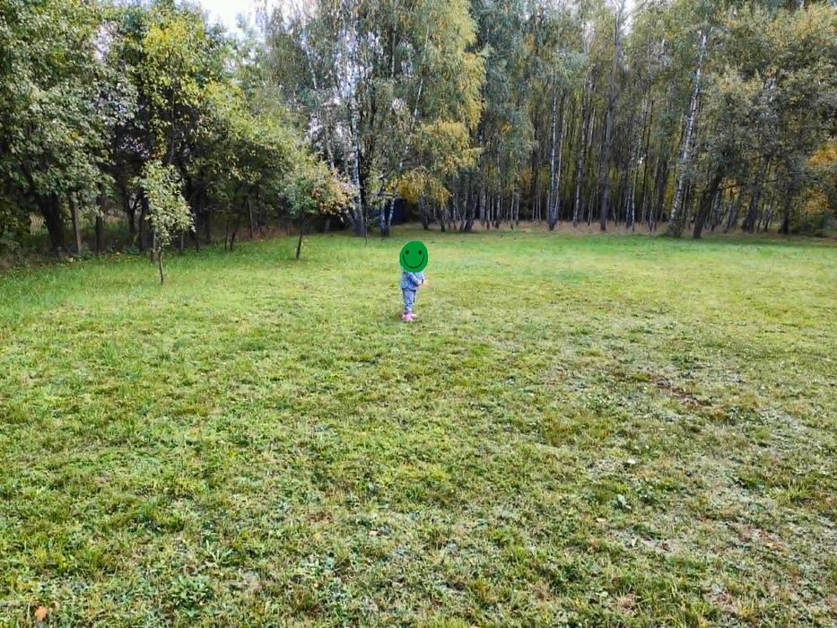Dobra Nowiny gm Stryków 1.0758 ha - Działka rolna z potencjałem budowlanym / siedliskowym Media - Widok 3
