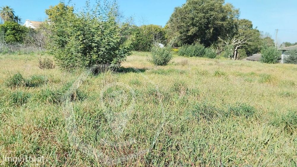 Terreno Oia