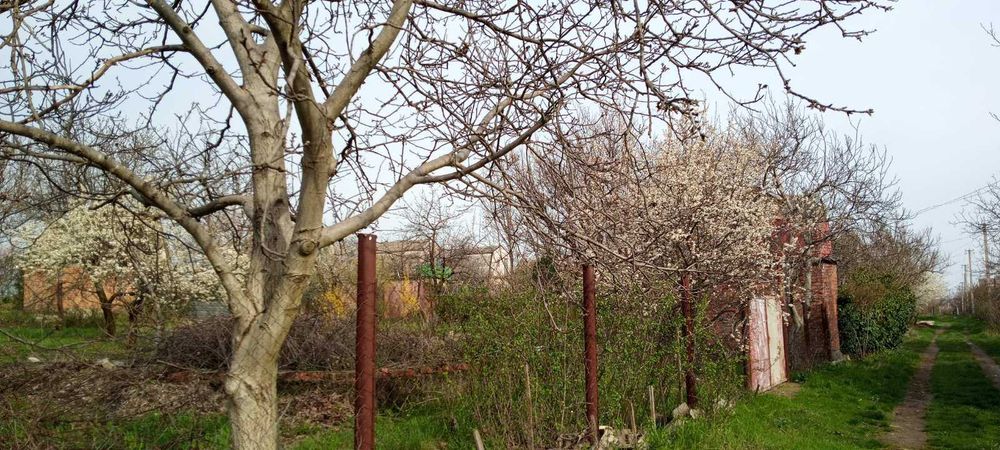 Дачний участок 8 соток Зайчевское ДК Зайчевское