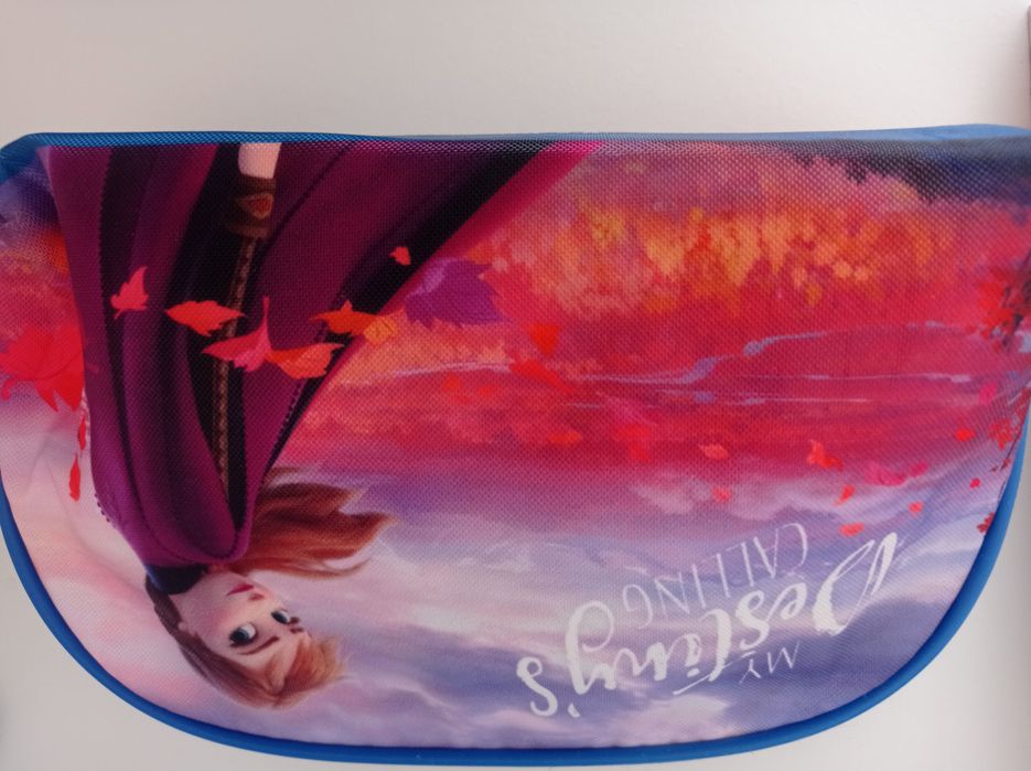 Conjunto de bolsas da Frozen
