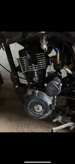 Мустанг регіон 200