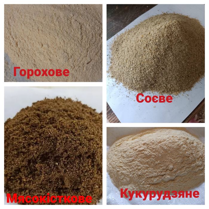 Борошно для риболовлі різні види