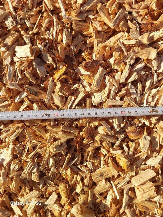 Щепа суха  хвоя ( сухостій)