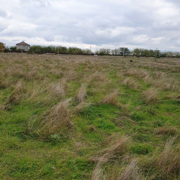 Участок С. Доброалександровка Овидиопольского р-на от Хозяина