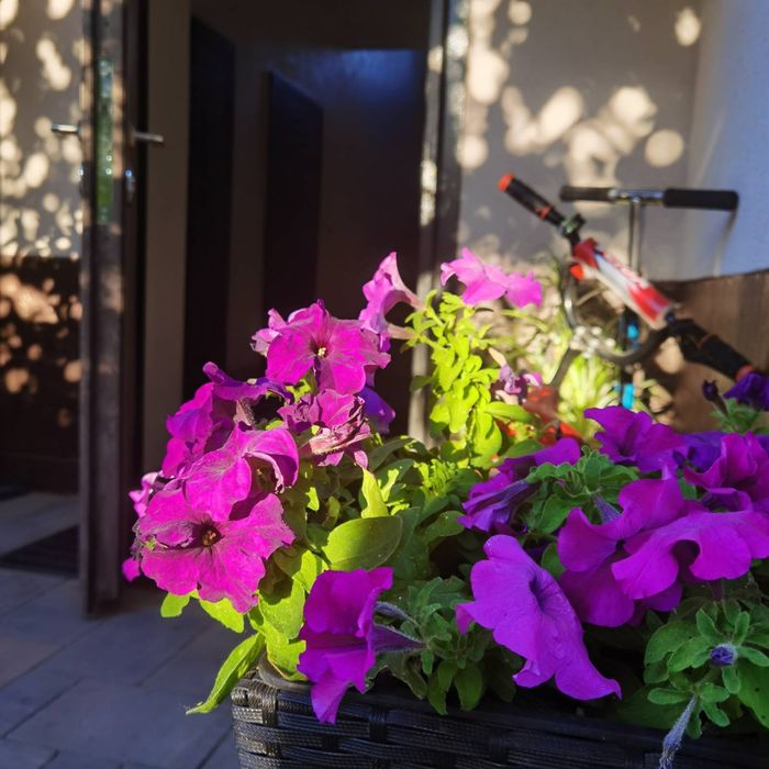 Акція- Апартаменти дворівневі в клубному будинку с садом та мангалом