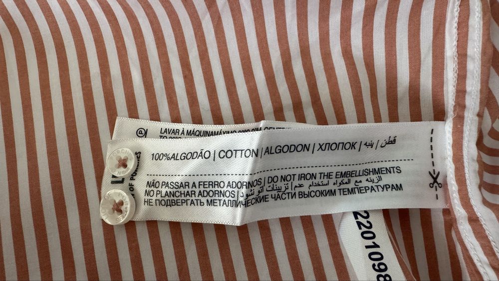 Camisa menino Lion of Porshe venda