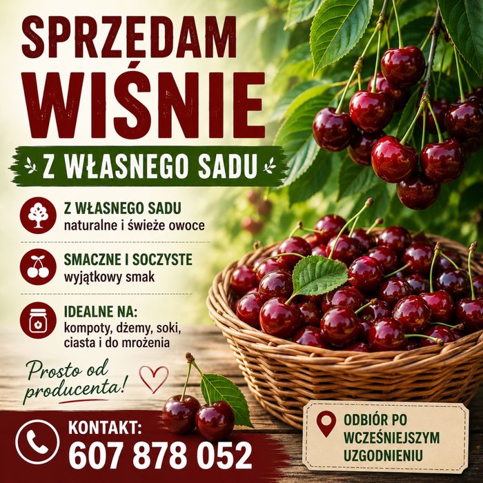 Sprzedam Wisnie z wlasnego sadu