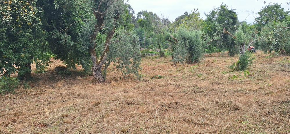 Casa para  reconstrução com terreno