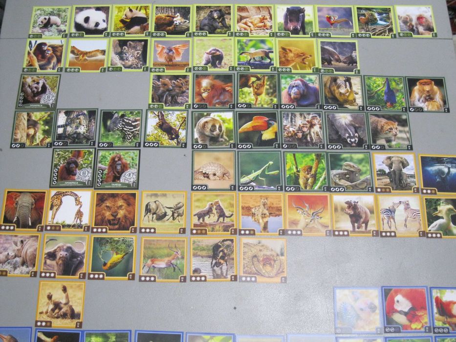 Наклейки карточки Зверокуб Варус (Varus)