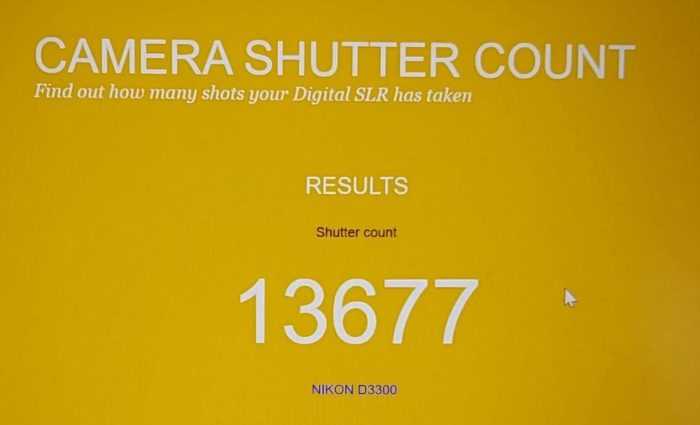 Aparat Nikon D3300 z mikrofonem