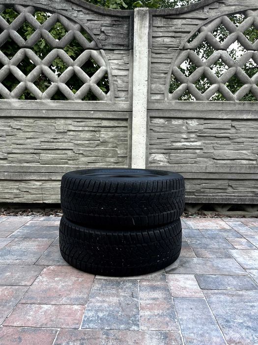 Зимові шини | Dunlop winter sport 5 | 205/55 R16 | — Пара (2 шт)