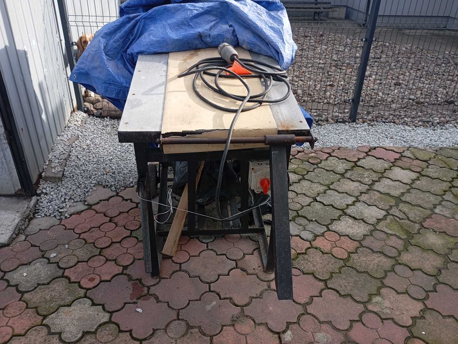 Piła tarczowa krajzega