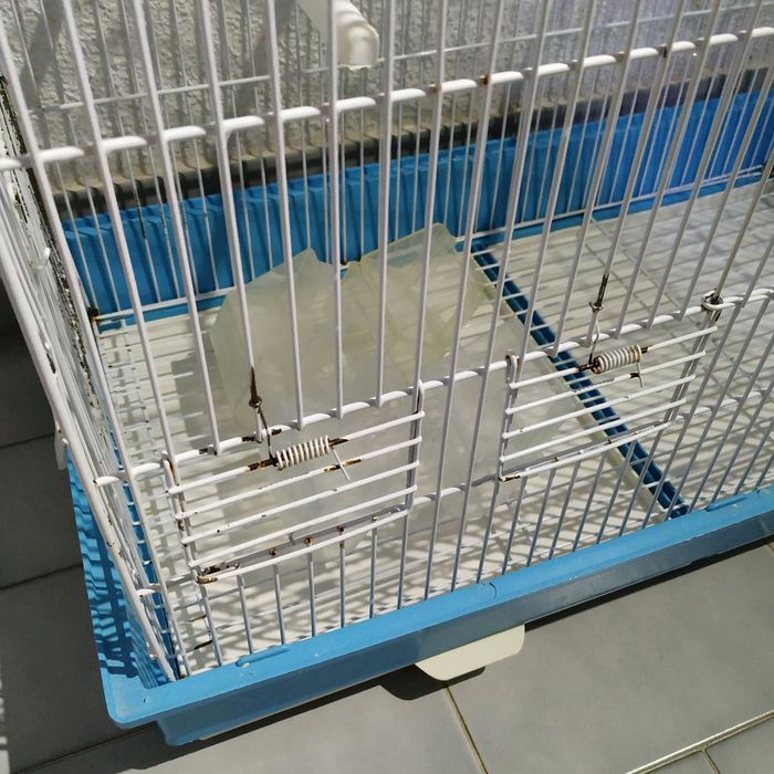 Gaiola para pássaros (55x54x30)