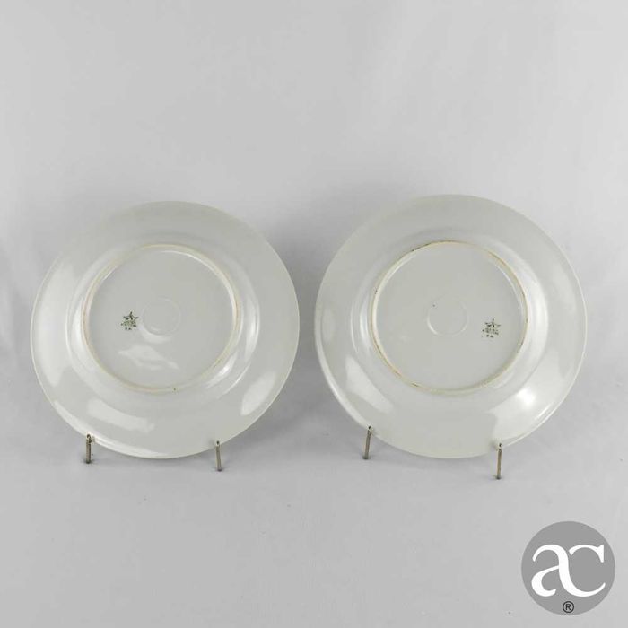 Par pratos, porcelana Artibus, flores, bordo em relevo e friso dourado