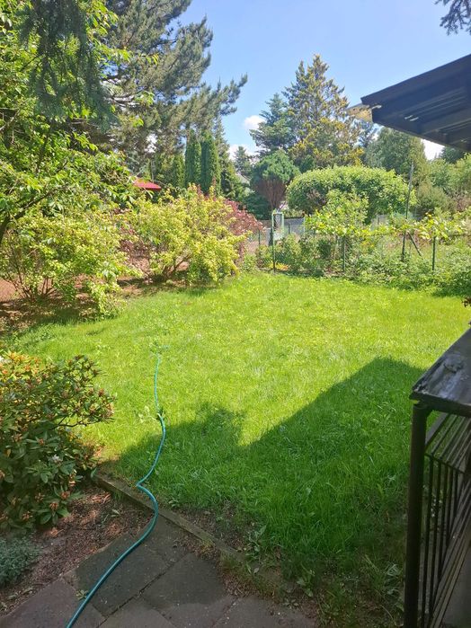 Działka ROD w ROD "Las" na sprzedaż