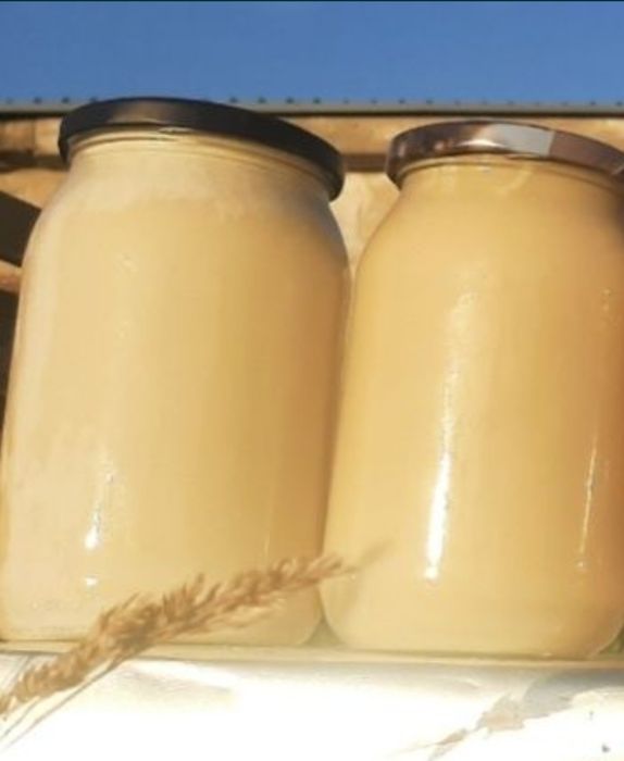 Miodek Rzepakowy