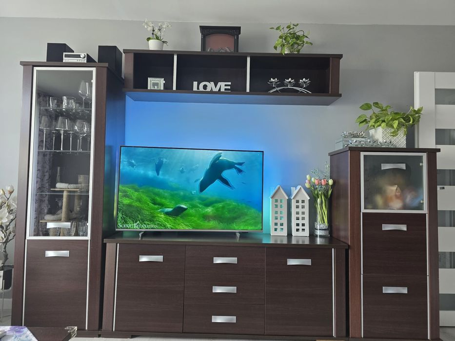 Meble wenge do salonu