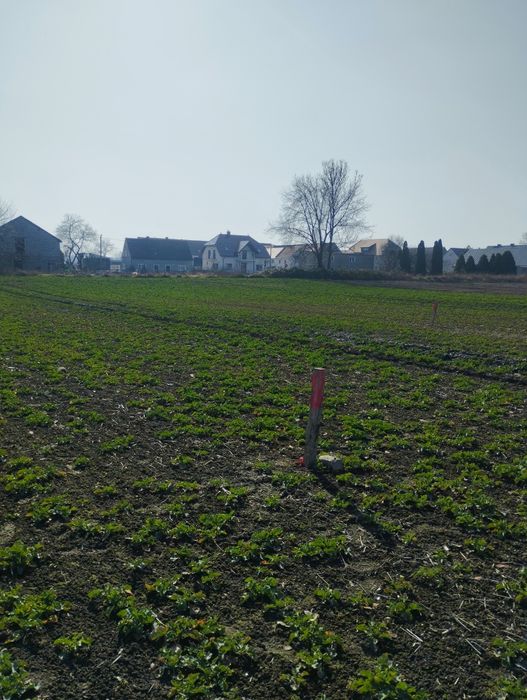 Działka/działki budowlane 5 sztuk dolnyślask Lusina-Strzegom