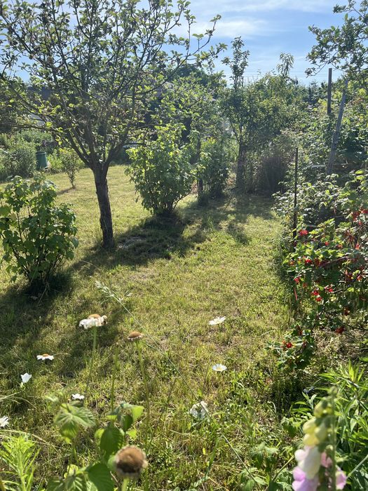 Działka ROD Pogodny ul. Taczaka 489 m² - Widok 2