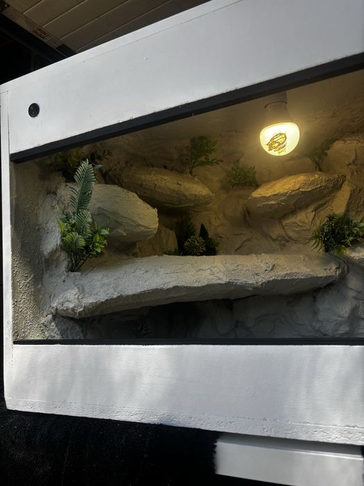 Terrarium dla agamy brodatej