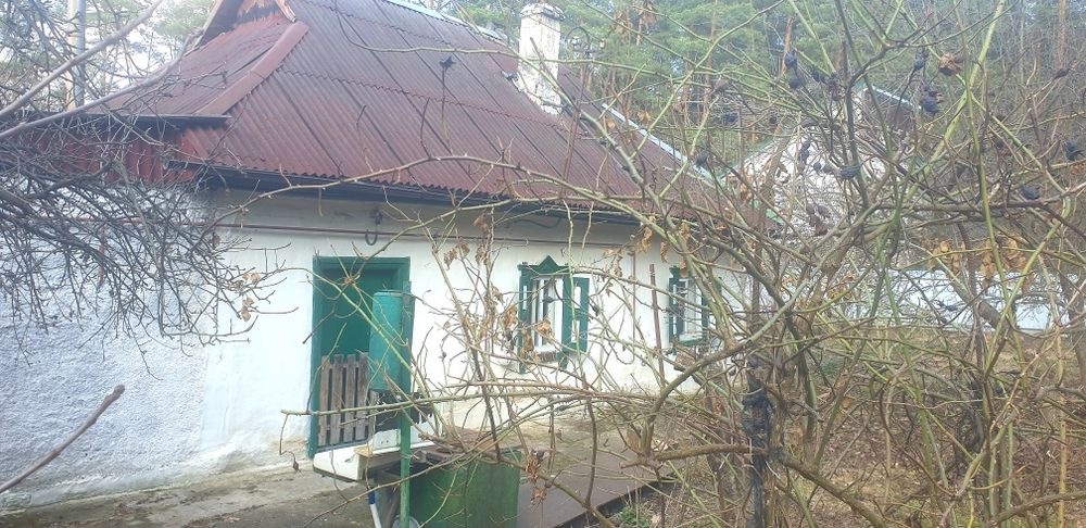 Забір'я.(Жорнівка)  будинок 62м.кв., на ділянці 15сот., майже в лісі.