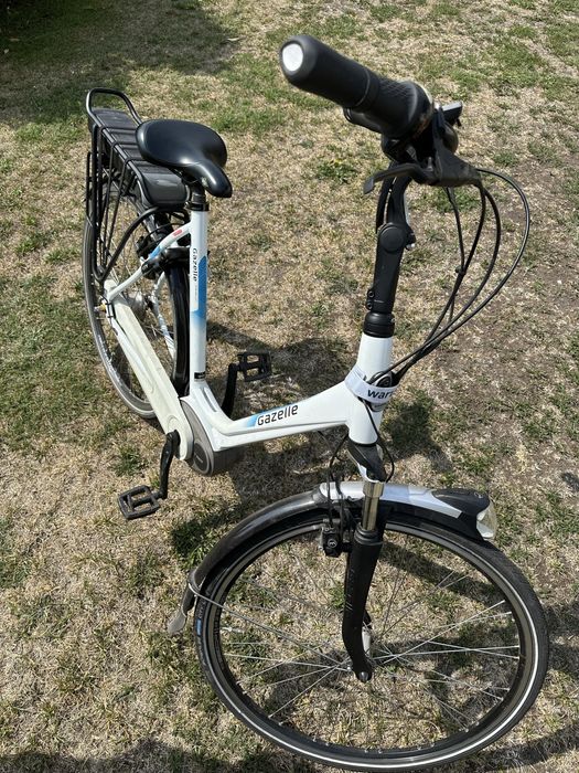 Rower gazelle