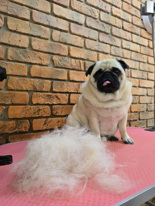 Моделі для Академії Грумінгу. Палац спорту