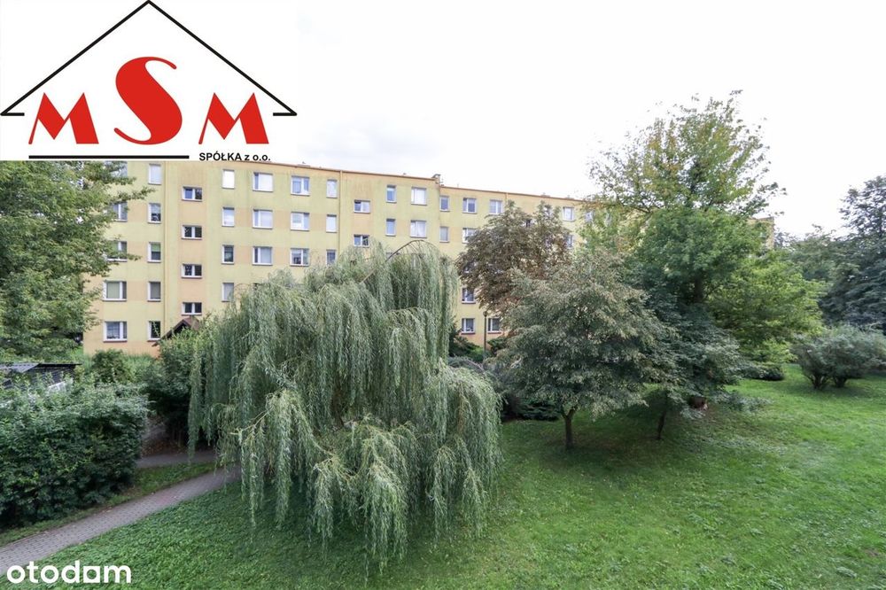 Zdjęcie 4