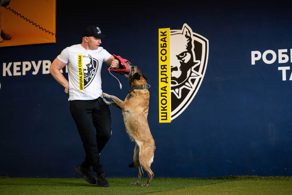 Школа Дресирування навчання собак Васильків Бобриця з проживанням
