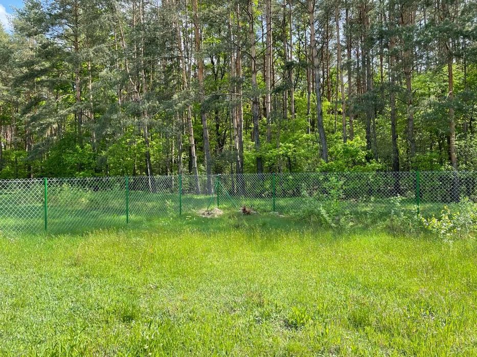 Najpiękniejsza działka budowlana (ogrodzona) w Kamieńczyku 200 m od rzeki Liwiec - View 5