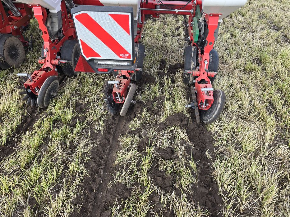Siew pasowy Strip Till buraków, kukurydzy