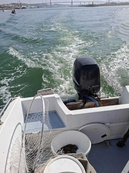 Vendo Barco de Recreio 6 pessoas Atlântico Baleote 510