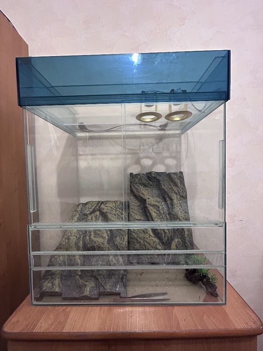 Тераріум з скла з підсвіткою(без ламп) та фоном –  для рептилій