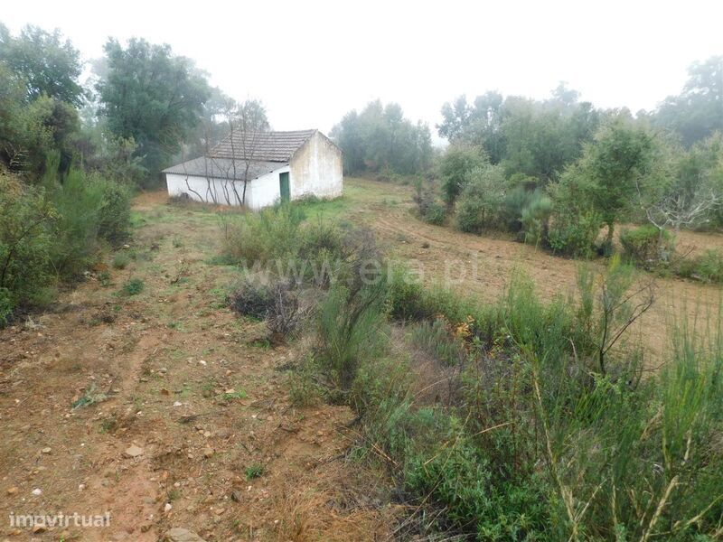 Terreno Rústico / Fundão, Vales Pêro Viseu