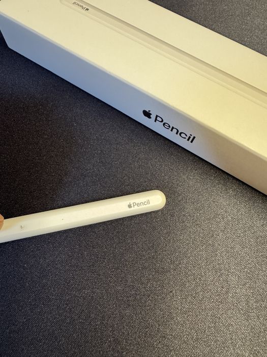 Apple Pencil (2.ª Geração) – Excelente Estado