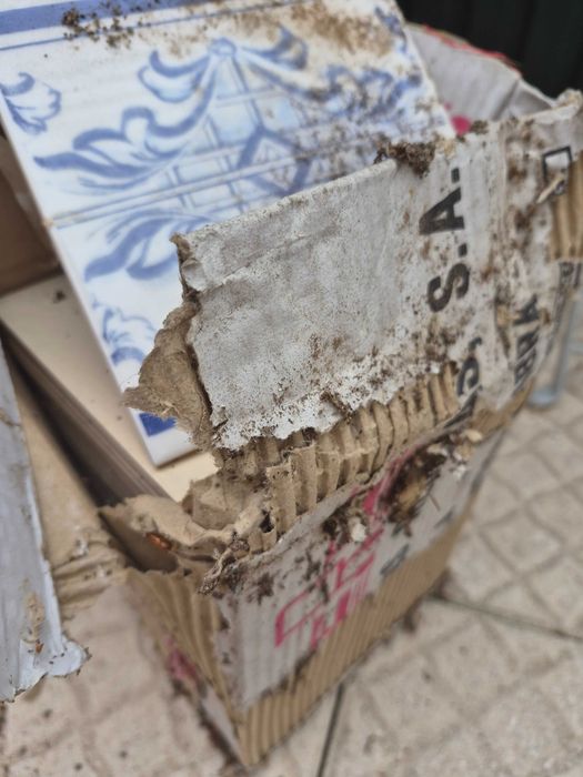 Azulejos novos na zona de Aveiro