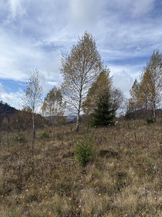 Продам земельну ділянку