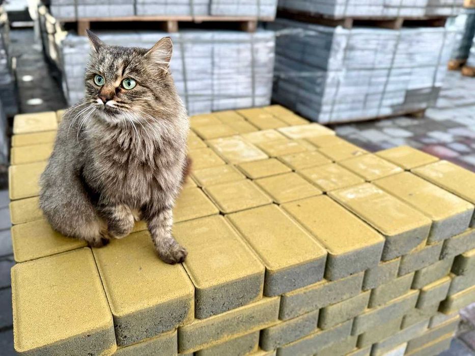 Розпродаж Бруківка Тротуарна плитка Дубровиця Володимирець Сарни